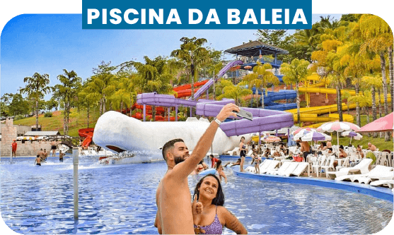 piscina-da-baleia-R001.png